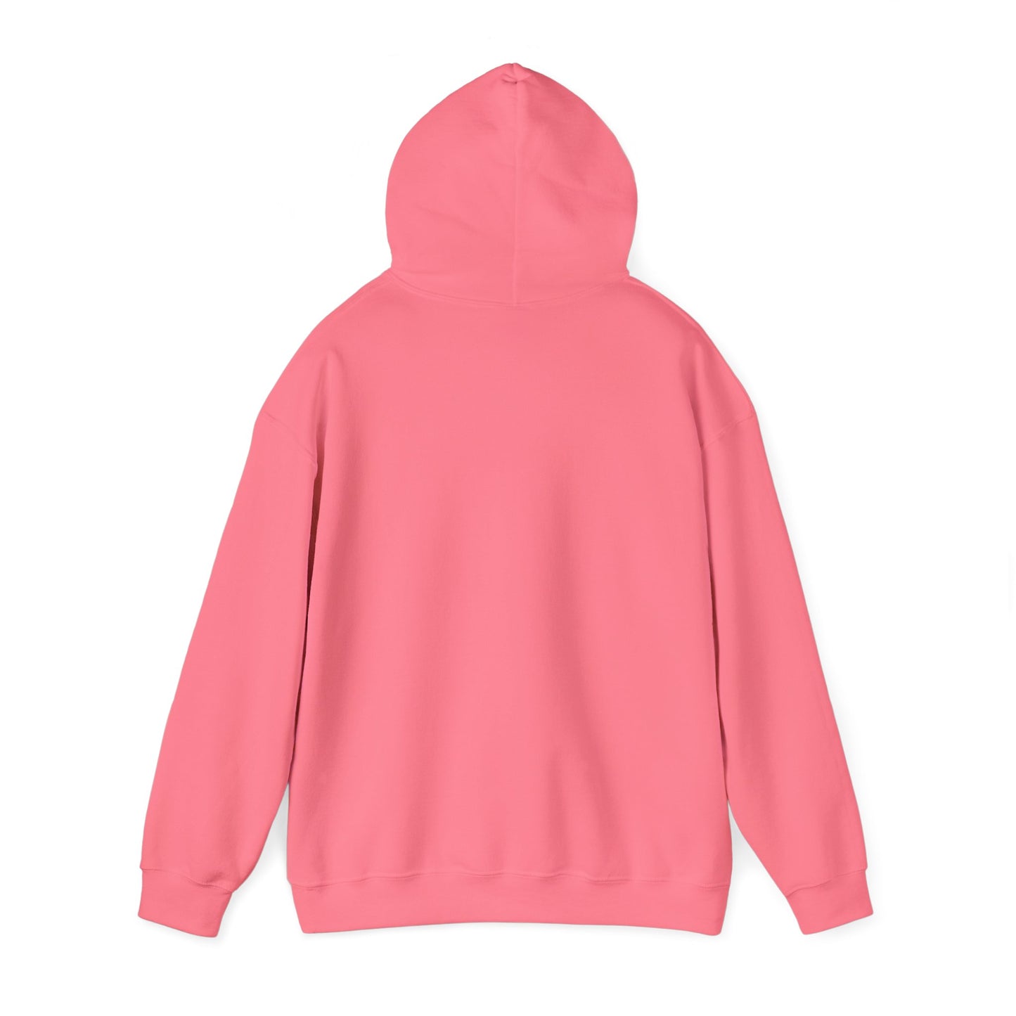 Trigger Warning Hooded Sweatshirt (Light Colors)